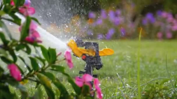 Automatische gazon sprinkler op de tuin met groen gras in slow motion — Stockvideo