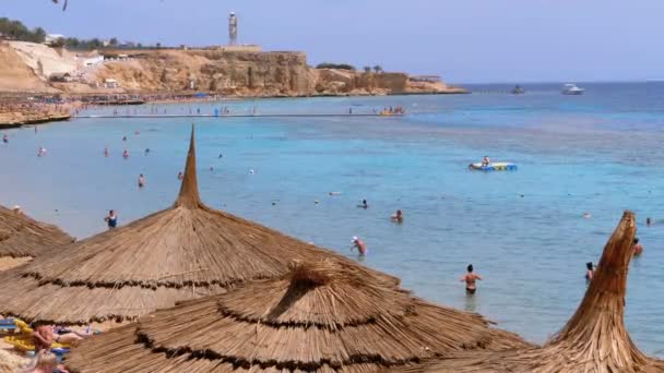 Tropická Pláž se slunečníky na Rudém moři nedaleko korálového útesu. Egypt. — Stock video
