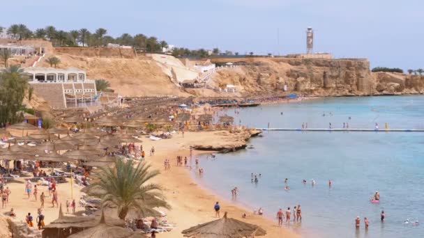 산호초 근처 홍해의 럭셔리 호텔에서 우산과 선베드가있는 해변. 이집트. — 비디오