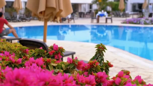 Sunbed Lounger cerca de la piscina con agua azul en el Resort de Egipto. — Vídeos de Stock