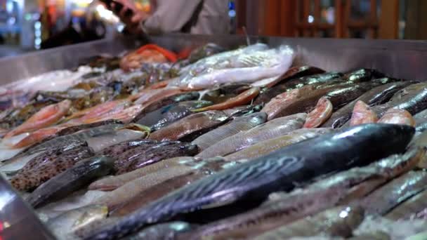 Pescado marino fresco se vende en el mostrador de la tienda en la calle — Vídeos de Stock