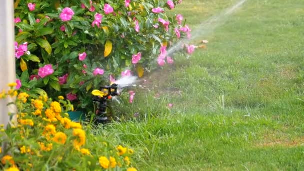 Automatic Lawn Sprinkler on the Garden with Green Grass in Slow Motion — Stock Video