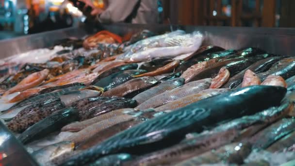 Свіжа морська риба продається на стільниці магазину на вулиці — стокове відео
