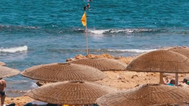 Mısır 'da şemsiyeli boş plaj Kızıl Deniz' deki mercan resifinin arka planında — Stok video