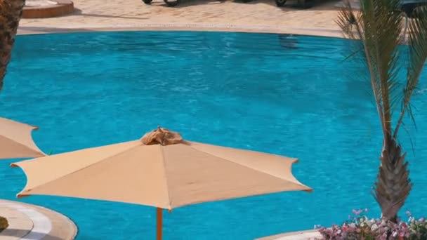 Солнечные зонтики у бассейна с голубой водой в отеле Египта — стоковое видео