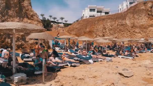 Playa en Egipto. Resort en la costa del Mar Rojo. La gente se relaja y toma el sol en la playa con sombrillas y tumbonas — Vídeo de stock