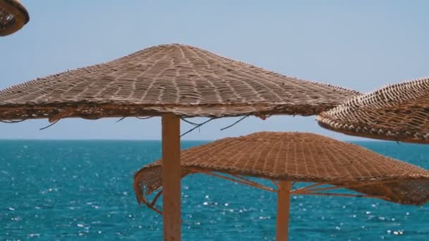 Esernyők a háttérben a tenger az üres strandon Egyiptomban — Stock videók
