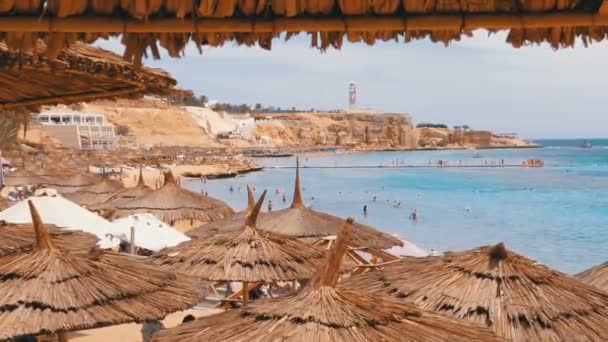 Tropischer Strand mit Sonnenschirmen am Roten Meer in der Nähe von Korallenriffen. Ägypten. — Stockvideo