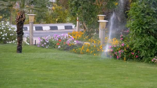 Автоматический Lawn Sprint на огороде с зеленым грассом в медленном движении — стоковое видео