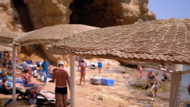 Strand met parasols in Egypte op de rode zee. Zonnig Resort op rotsachtige kust van Egypte — Stockvideo