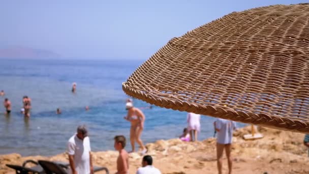 Strand med paraplyer i Egypten på Röda havet. Sunny Resort på Reef Coast i Sharm El Sheikh. — Stockvideo