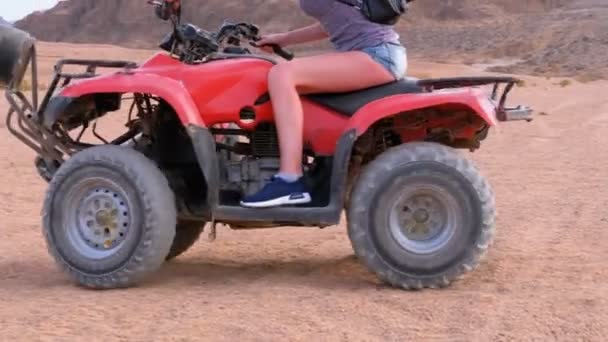 エジプトの砂漠を通ってクワッドバイクに乗る女の子 — ストック動画