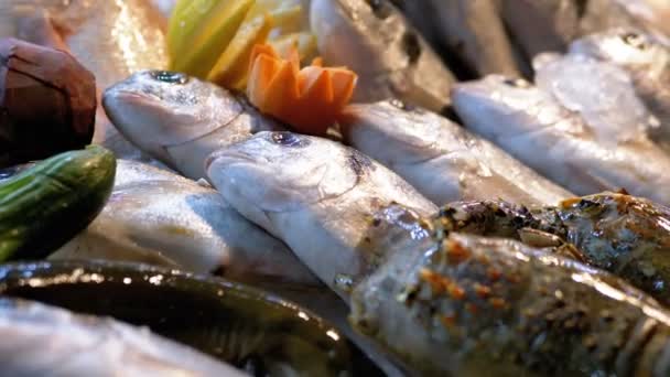 Färsk havsfisk på säljs på disken i butiken på gatan — Stockvideo