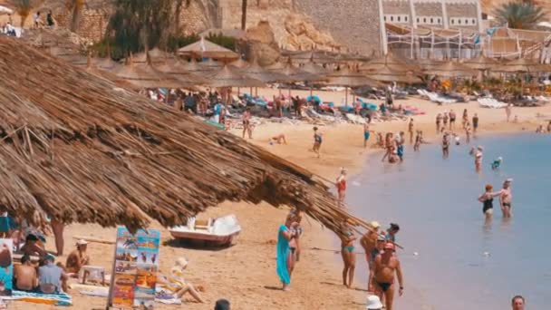 Playa Tropical con sombrillas en el Mar Rojo cerca de Coral Reef. Egipto . — Vídeos de Stock