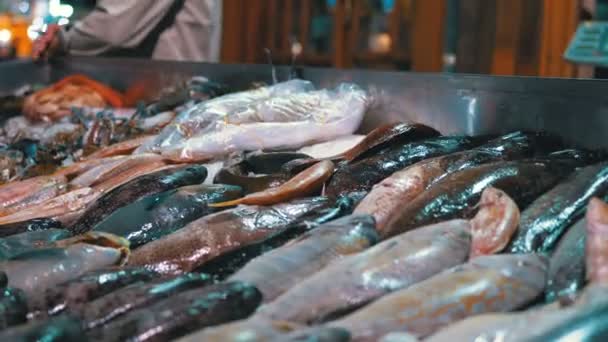 Peixes do mar fresco vendidos no balcão da loja na rua — Vídeo de Stock