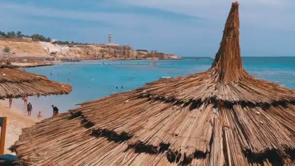 Tropischer Strand mit Sonnenschirmen am Roten Meer in der Nähe von Korallenriffen. Ägypten. — Stockvideo