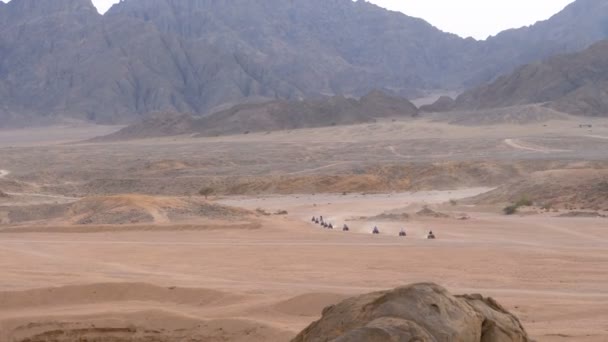 Skupina na čtyřkole jezdí pouští v Egyptě na pozadí hor. Řízení ATVs. — Stock video