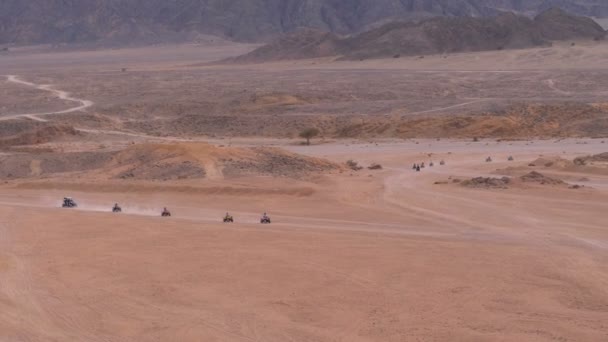 Column of a Quad Bike Rides through the Desert in Egypt on backdrop of Mountains. Driving ATVs. — Stock Video