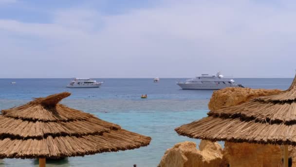 Tropical Beach z parasolami słonecznymi na Morzu Czerwonym w pobliżu Coral Reef. Egipt. — Wideo stockowe