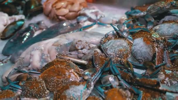 Морская рыба продается на прилавках магазина на улице — стоковое видео