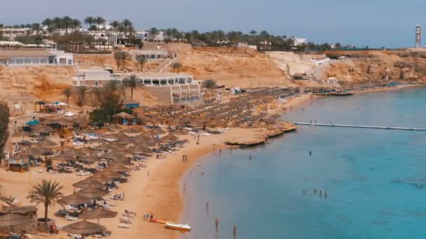 Panoramiczny widok na Coral Beach z parasolami, leżakami i palmami w luksusowym hotelu nad Morzem Czerwonym na rafie. Egipt. — Wideo stockowe