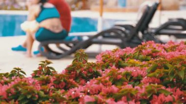 Mısır Tatil Köyü 'nde, Mavi Suyla Yüzme Havuzu' nun yanında güneşli bir yatak..
