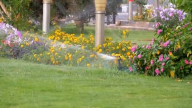 Yavaş Çekimde Yeşil Çimile Bahçede Otomatik Çim Sprinkler