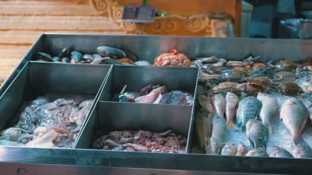 Pescado marino fresco se vende en el mostrador de la tienda en la calle — Vídeo de stock