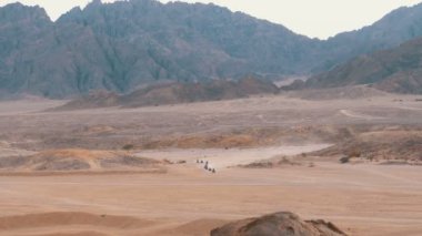 Dağların arka planında Mısır'da Çöl üzerinden bir Quad Bike Rides Sütun. Sürüş Avs.