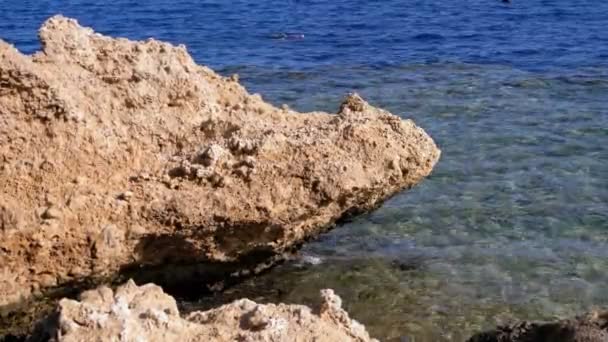 Sziklás tengerpart-ra Vörös-tenger-val szikla mellett a korall zátony. Egyiptom. Üdülőhely a Vörös-tenger partján. — Stock videók