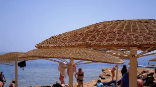 Strand met parasols en ligbedden in Egypte op de rode zee. Sunny Resort on Reef Coast. — Stockvideo