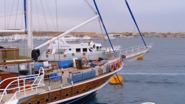 Port with Beautiful Yachts on the Dock in Egypt — Stock Video