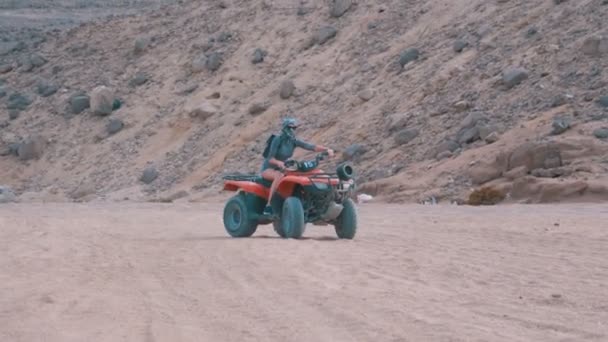 Mädchen auf einem Quad fährt durch die Wüste Ägyptens — Stockvideo