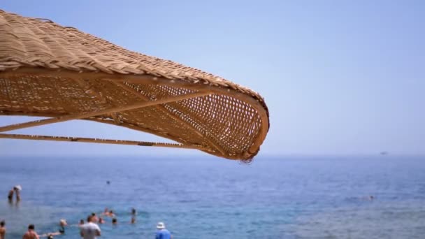 Ombrellone su una spiaggia in Egitto sul Mar Rosso. Sunny Resort sulla costa corallina di Sharm el Sheikh — Video Stock