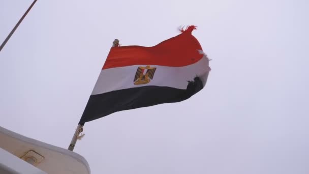 Egyptian flag fluttering on a boat in bad weather. Slow Motion — Stock Video