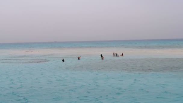 Les gens nagent et marchent sur la célèbre île de sable blanc au milieu de la mer Rouge — Video