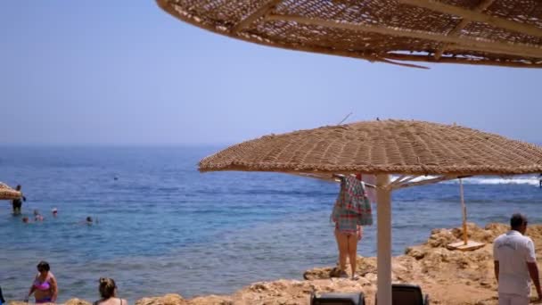 Playa con paraguas en Egipto en el Mar Rojo. Sunny Resort en la costa de arrecife de Sharm el Sheikh . — Vídeo de stock