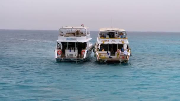 Šnorchlování a potápění na pozadí turistických jachtů nedaleko bílého písečného ostrova. Egypt — Stock video