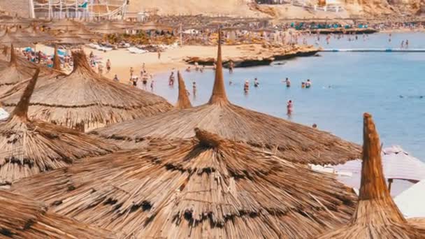 Τροπική παραλία με ομπρέλες στην Ερυθρά θάλασσα κοντά στους κοραλλιογενείς υφάλους. Αίγυπτος. — Αρχείο Βίντεο