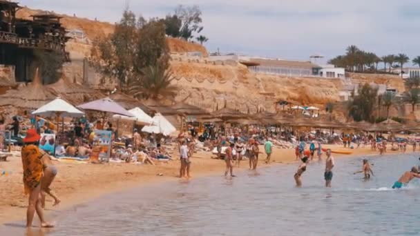 在珊瑚礁附近的红海豪华酒店，带雨伞和日光浴床的海滩。埃及. — 图库视频影像