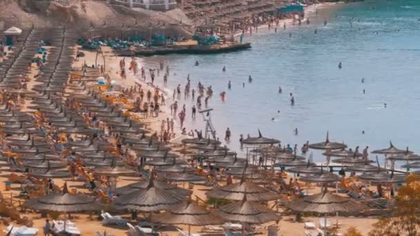 Strand på lyxhotell med parasoller och solstolar på Röda havet nära korallrev. Egypten — Stockvideo