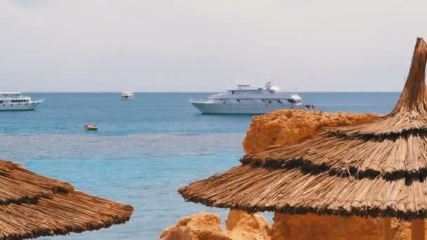 Playa Tropical con sombrillas en el Mar Rojo cerca de Coral Reef. Egipto . — Vídeos de Stock