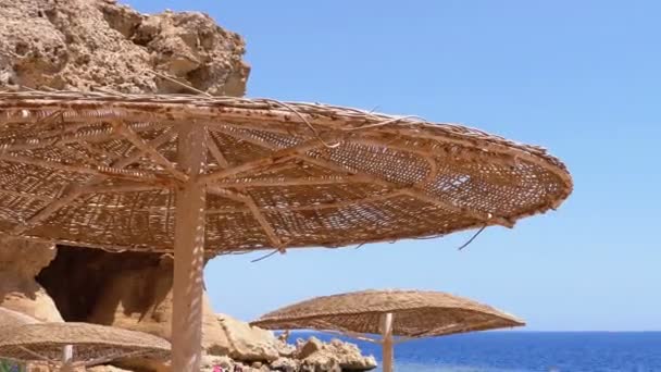 Solparasoll på en korallstrand med stenar och stenar i Egypten på Röda havet — Stockvideo