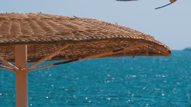 Playa vacía con sombrillas en Egipto en el fondo del Mar Rojo — Vídeos de Stock