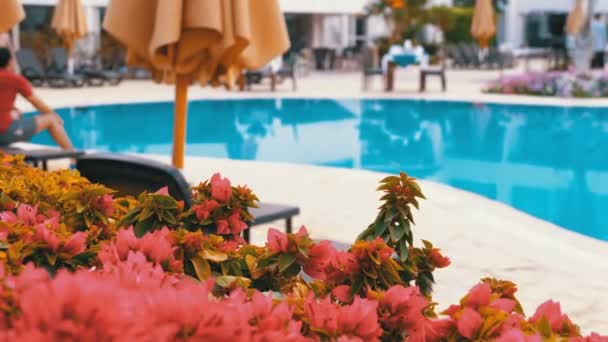Sonnenliege in der Nähe des Swimmingpools mit blauem Wasser im Resort von Ägypten. — Stockvideo
