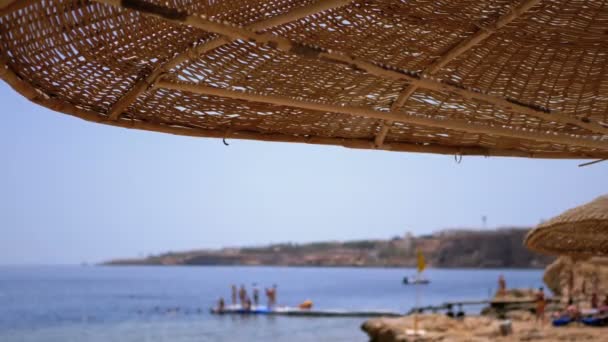 Strand mit Sonnenschirmen und Liegen in Ägypten am Roten Meer. sonniges Resort an der Riffküste. — Stockvideo
