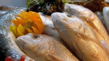 Sokakta mağazanın tezgahında satılan Taze Deniz Balıkları