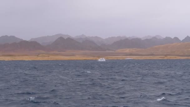 Pleasure Boat with Tourists is Sailing in Storm Sea on background of Mountains. Egypt — Stock Video