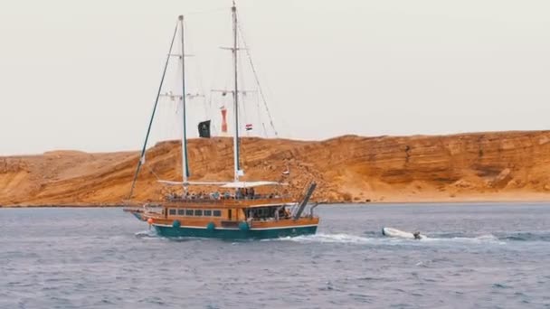 Hermosas velas de yate turístico en el mar Tormentoso en el fondo de Rocas. Egipto — Vídeo de stock