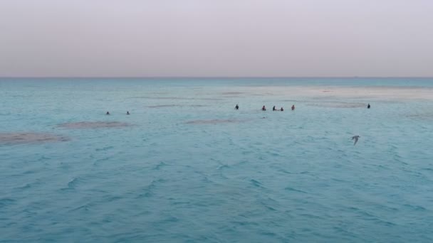 Les gens nagent et marchent sur la célèbre île de sable blanc au milieu de la mer Rouge — Video